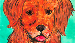 Almagreta portfolio thumbnail 5