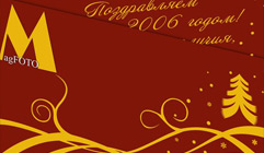Almagreta portfolio thumbnail 6